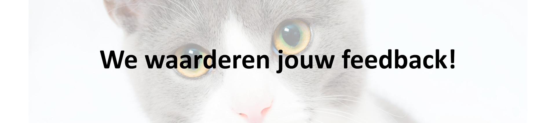 feedback petmates